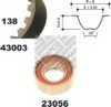 PEUGE 081679081821 Timing Belt Kit